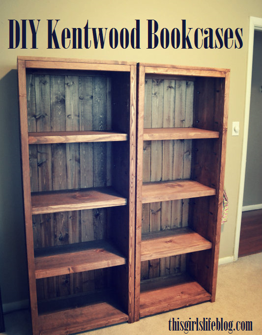 Woodwork Homemade Bookcase Plans PDF Plans