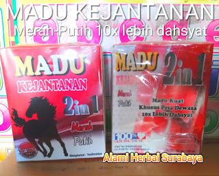 https://depotsuroboyoherbal.blogspot.com/2018/03/jual-madu-merah-putih-madu-kejantanan.html