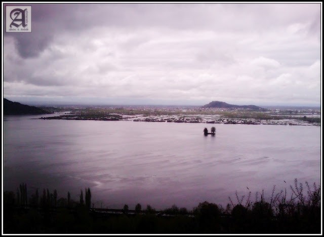 View from top. Dal Lake - Srinagar (Kashmir), from Vivanta by Taj, Kashmir.