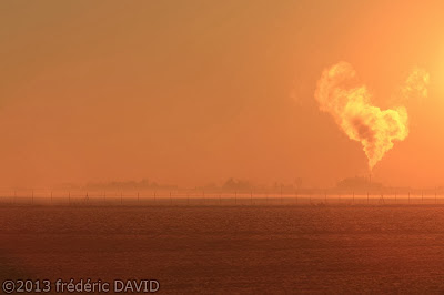 froid silhouette aube fumée brume Seine-et-Marne