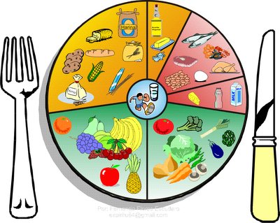elementos basicos de la alimentacion