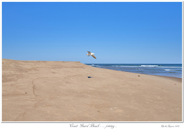 Coast Guard Beach: ... joining...