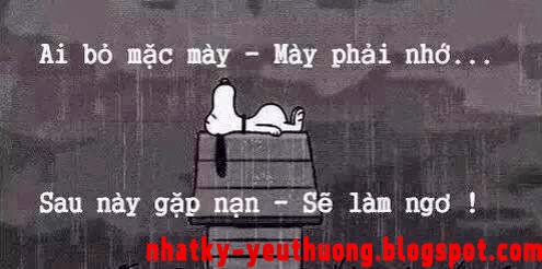 Giay dan tuong  