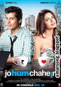 Jo Hum Chahein (2011) Full Movie Download DvDScr 400MB MKV