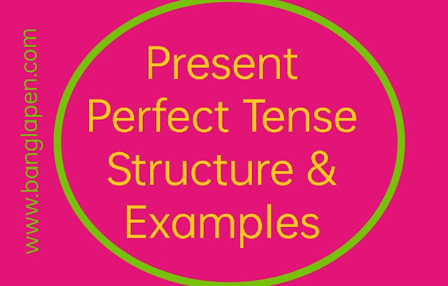 present perfect tense structure & examples