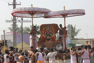 Thirunindravur,  Sri Bhakthavatsala Perumal, Brahmotsavam,Aadisesha vahanam  2017, Video, Divya Prabhandam,Utsavam,