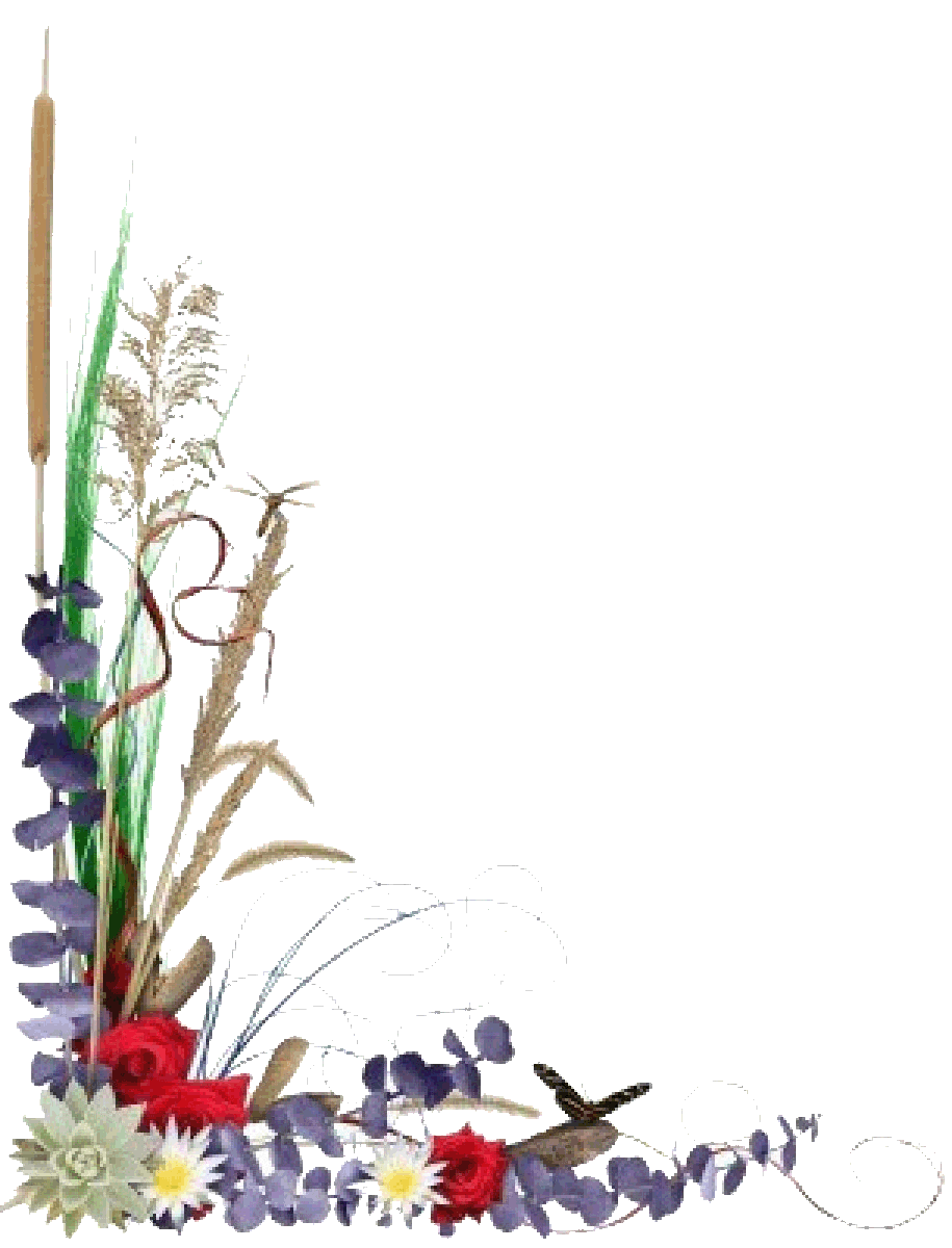 Flower Corner Borders Free Download Wallpaper (915 x 1200 