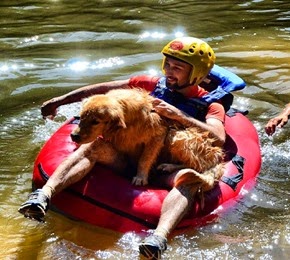 Pets Adventure 18 (141_1) (1)