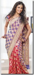 Nayanthara Pothys Ad