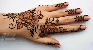 Bio Amazing.Design Of Mehndi