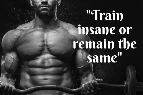 https://quotesalerts.blogspot.com/2020/02/gym-fitness-workout-motivational-quotes.html