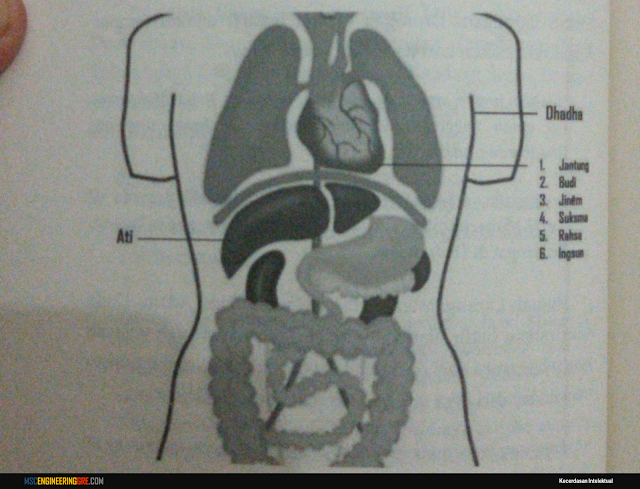 <a href="https://www.mscengineeringgre.com/"><img src="Teori Kecerdasan Intelektual.jpg" alt="Teori Kecerdasan Intelektual"></a>