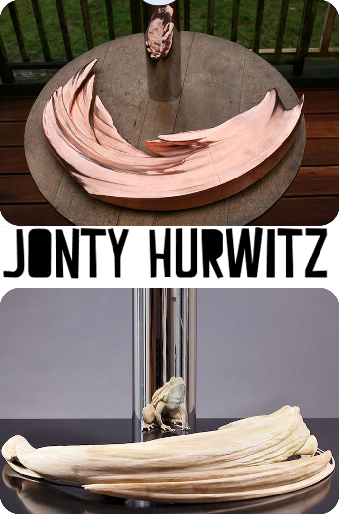 http://www.jontyhurwitz.com/anamorphosis/