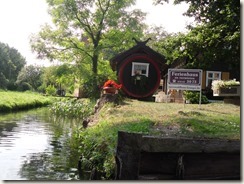 letzte Bilder 021