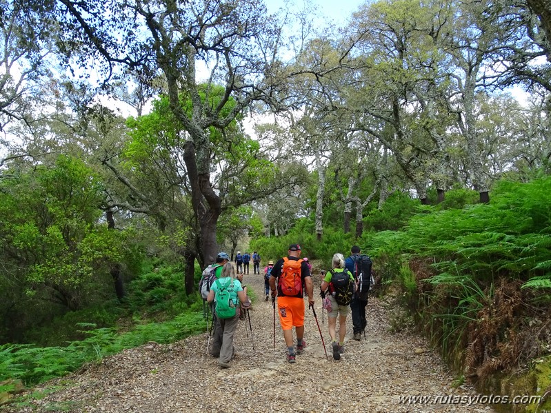 El Colmenar - Camino de los Arrieros - Puerto de los Peñones - Puerto de la Venta - Garganta de Los Charcones