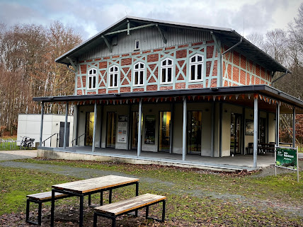 Zwischen-Sund-und-Kap-Arkona-100-Stubnitz-mit-Burgwaellen-14-Waldhalle