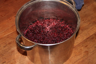 Black raspberry wine, primary fermentation