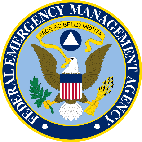 nancy lanza : The evolution of the FEMA logo