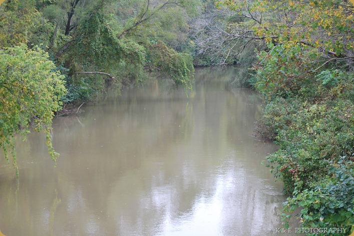 DSC_0051 DSC_0051