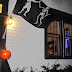 Halloween Report: Duncan Street Halifax