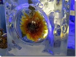 IMG_4824 (640x479)