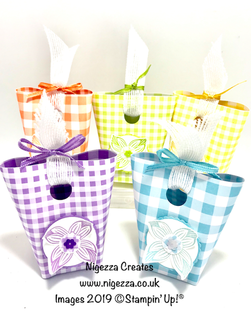 Stampin' Up! Gingham Gala Mini Gift Bag Nigezza Creates