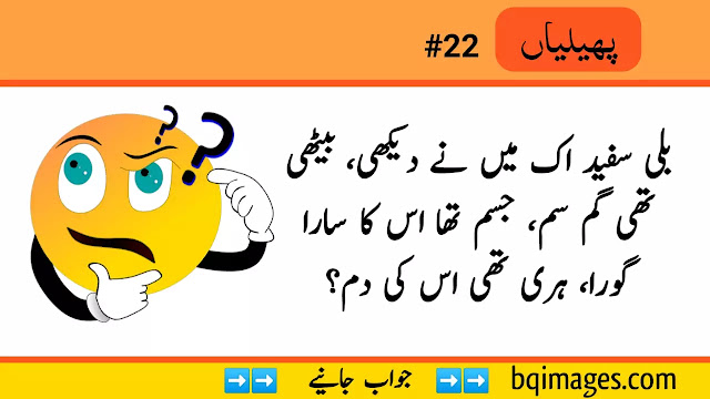 Bachon ki Paheliyan in Urdu with Answer