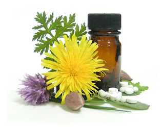 Medicinal herbs, herb business