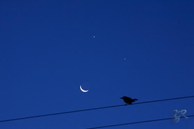 Pictures of Moon, Venus and Jupiter Conjunction