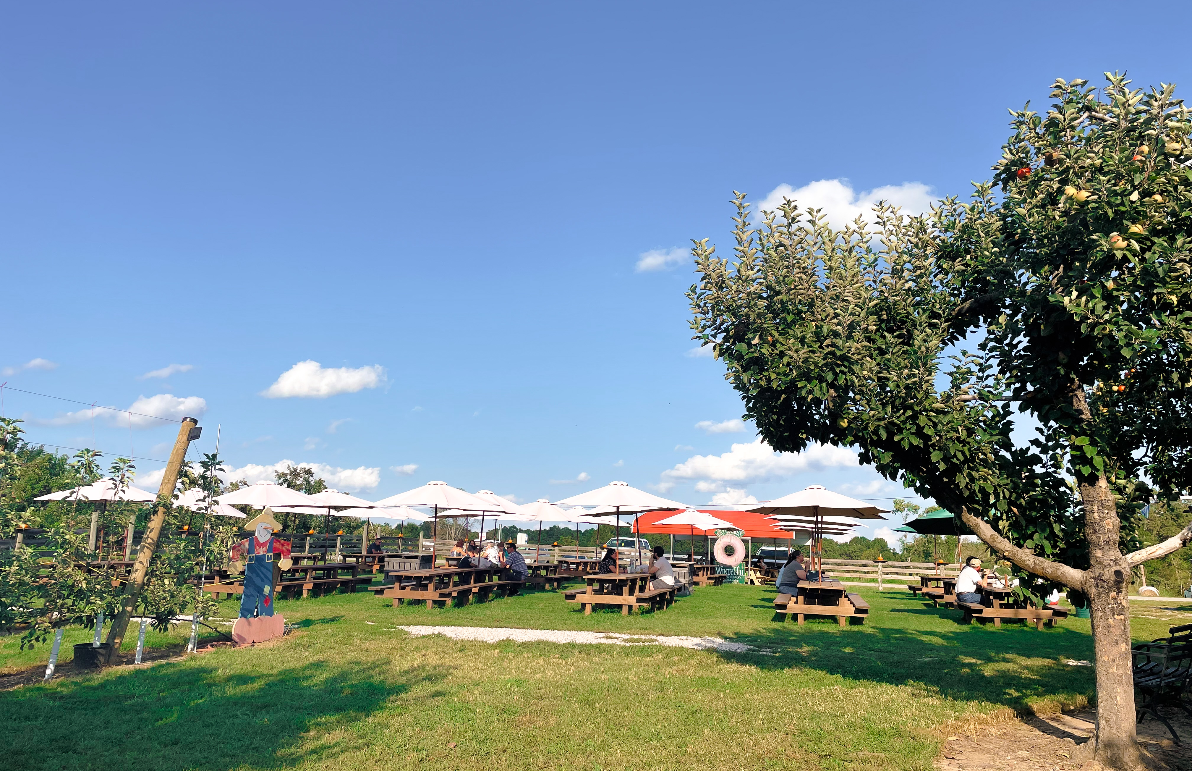 Windy Hill Orchard, York, SC