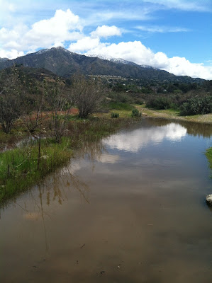 Tujunga Wash by Maja Trochimczyk