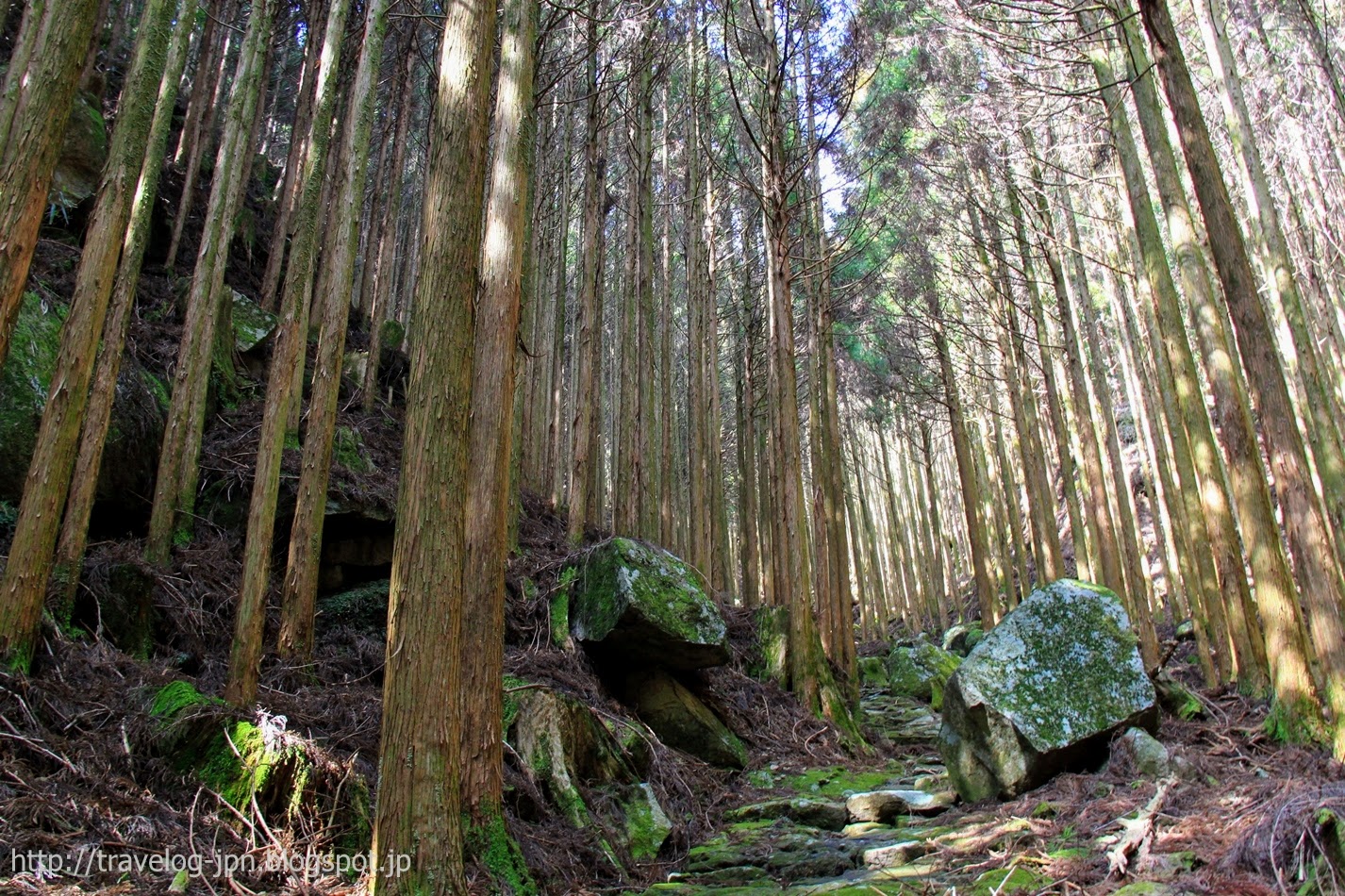 Travelog Jpn 熊野古道を行く 険路 大雲取越 石倉峠 円座石 小口
