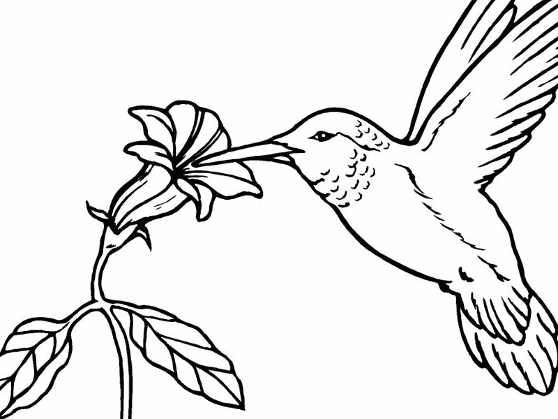 japanese haiku poems about nature. The haiku poems are very short