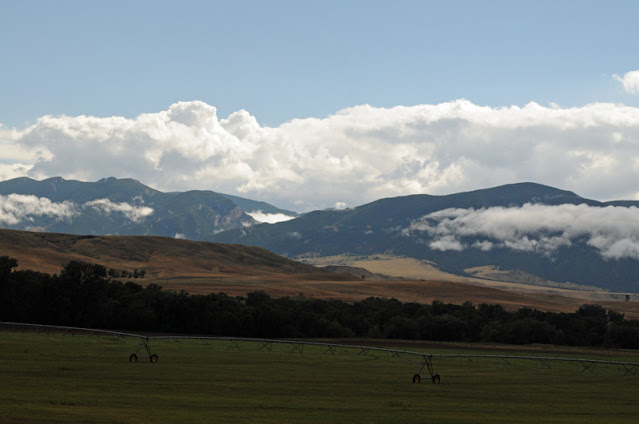 Irrigation near Big Horn Mountains