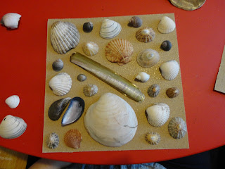 Seashells on Sandpaper