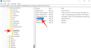Cara Memperbaiki Opsi Windows Insider Program Berwarna Abu-abu di Windows 11