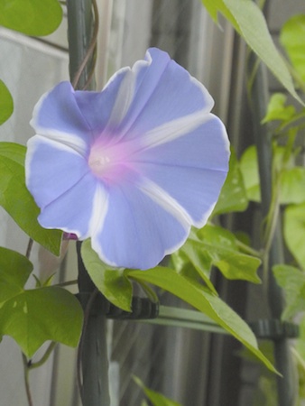 20110805-RIMG0023.jpg
