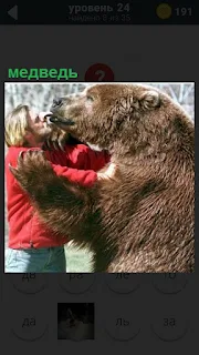Большой медведь облизывает своего хозяина, стоя на задних лапах