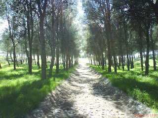 Barranco de la Muerte