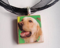 dognecklace