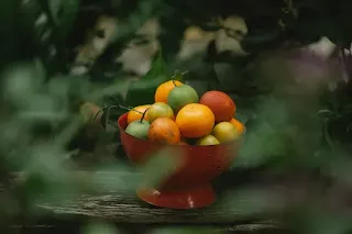 Plant-based diets