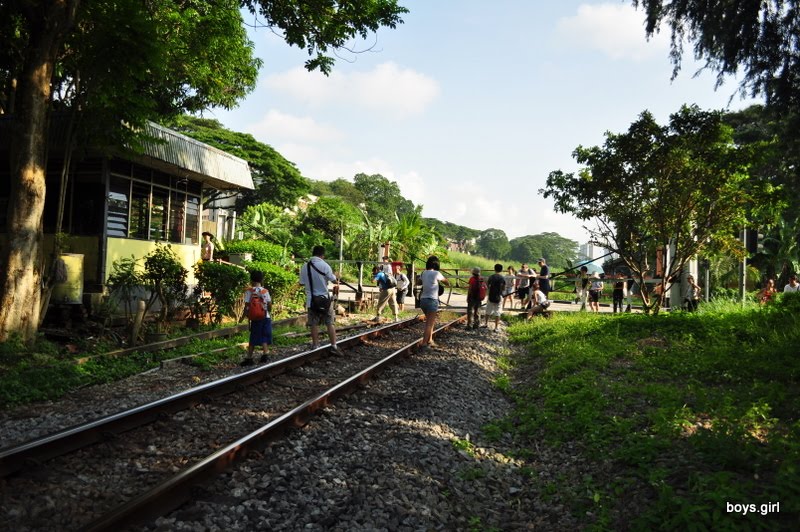 Railway track along Upper Bukit Timah Road | The Green Corridor 