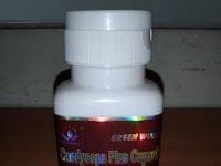 Testimoni cordyceps plus capsule