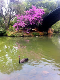 Parque Ibirapuera - Ponte de Ferro