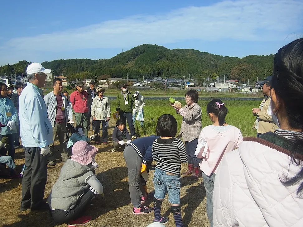 写真: 