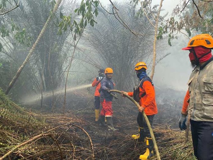 BMKG dan BPBD Kalbar Peringatkan Warga: Waspadai Puncak Karhutla Juli–September 2025