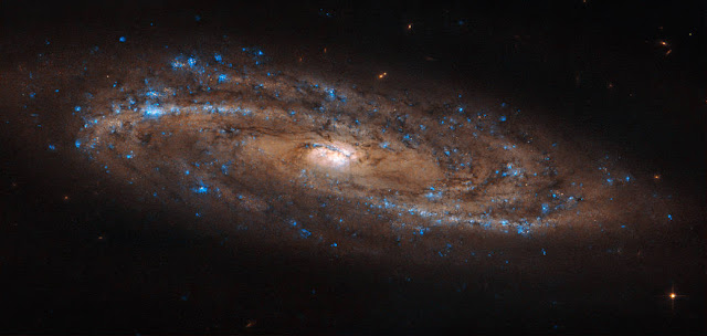 ngc-4100-galaksi-spiral-yang-dihiasi-bercak-biru-kelahiran-bintang-informasi-astronomi
