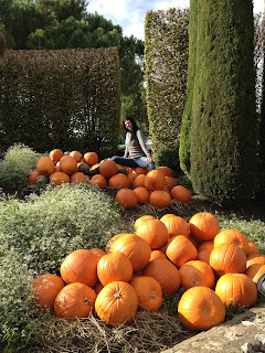 pumpkin, life, give  pumpkin, girl, outside, park