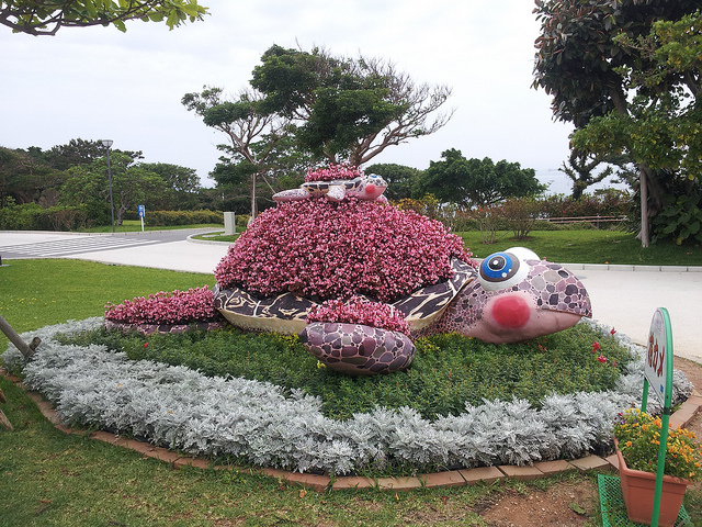 Okinawa Churaumi Aquarium