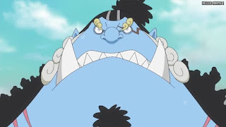 ワンピースアニメ 魚人島編 558話 ジンベエ | ONE PIECE Episode 558